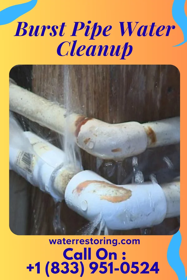 Burst Pipe Water Cleanup in River Road, NC