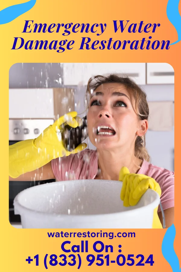 Emergency Water Damage Restoration in River Road, NC