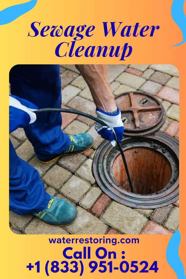 Sewage Water Cleanup in River Road, NC