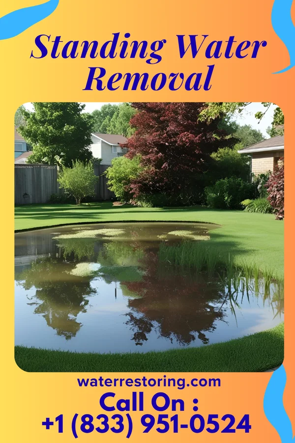 Standing Water Removal in River Road, NC